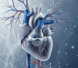 Tenth Annual Vascular Symposium - Advancing Vascular Health:  A Decade of Innovation and Collaboration Banner